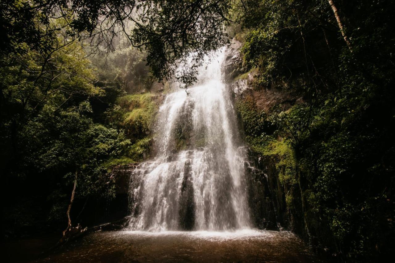 Pilgrimʼs Rest Mount Sheba Rainforest Hotel & Resort מראה חיצוני תמונה